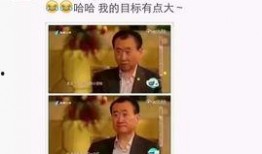 汪爸爆料视频完整版,揭秘娱乐圈惊人内幕