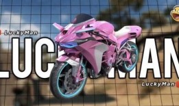 最新皮肤爆料车皮,炫酷外观与独特设计惊艳亮相